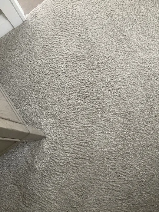 The Floor Store Picture 6