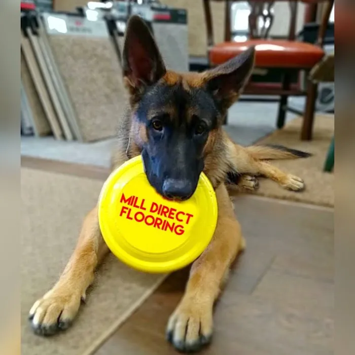 Mill Direct Flooring Picture 3