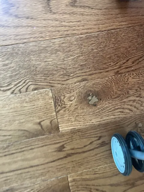 Doylestown Floor Picture 1