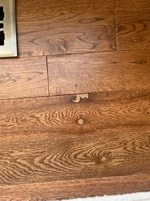 Doylestown Floor Picture 2