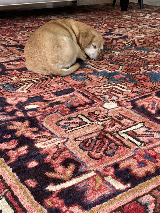 Kalaydjian Oriental Rugs Picture 3