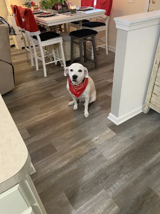 Lexi Floors LLC Picture 9