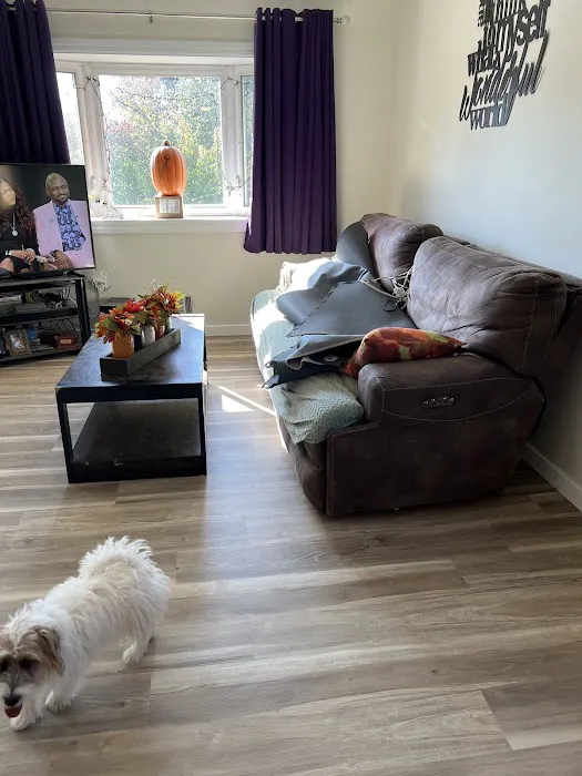 Lexi Floors LLC Picture 6