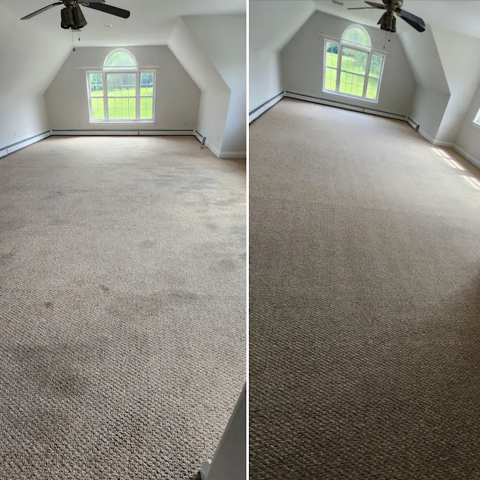 DiCat Carpet Cleaning Picture 3