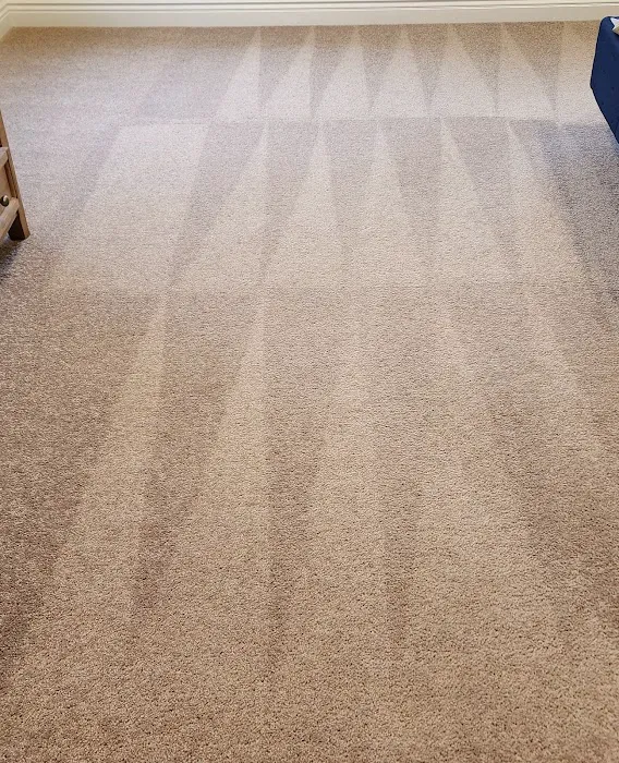 DiCat Carpet Cleaning Picture 7