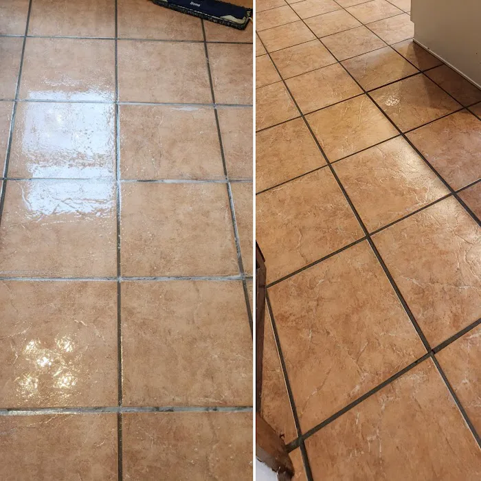 DiCat Carpet Cleaning Picture 10