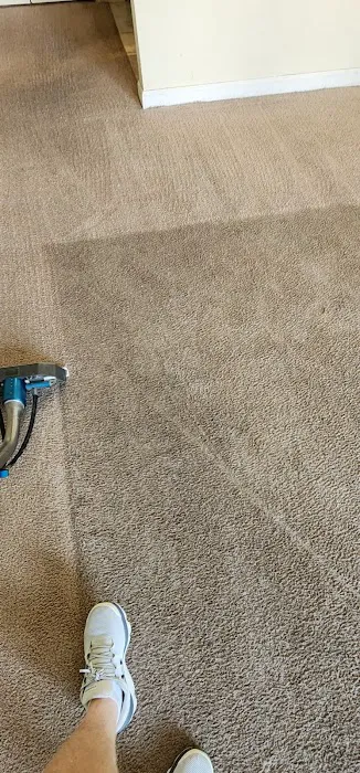 DiCat Carpet Cleaning Picture 1