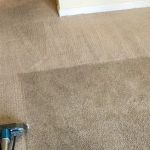 DiCat Carpet Cleaning