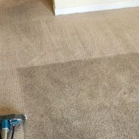 DiCat Carpet Cleaning ico