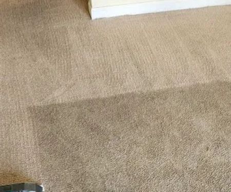 DiCat Carpet Cleaning