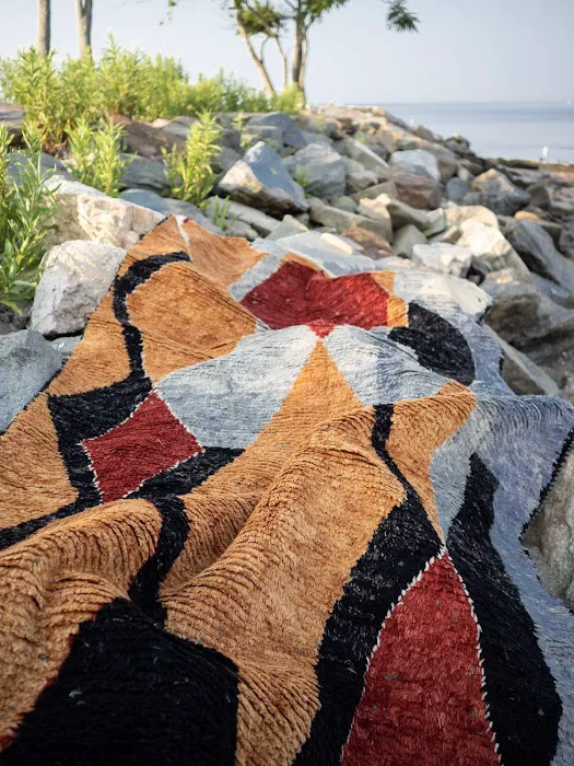 Apadana Rugs & Carpets Picture 3