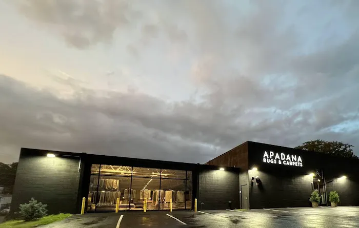 Apadana Rugs & Carpets Picture 4