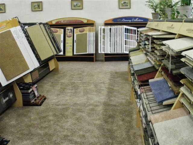 Remita Rug Service, Inc Picture 3