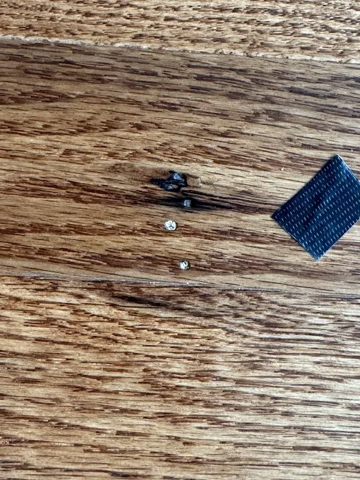 Roy Lomas Carpets & Hardwoods Picture 6