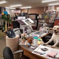 Affordable Floors ico