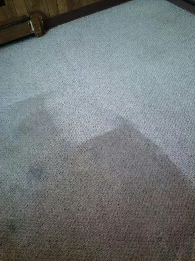 Carpet Express Cleaning Inc. Picture 7