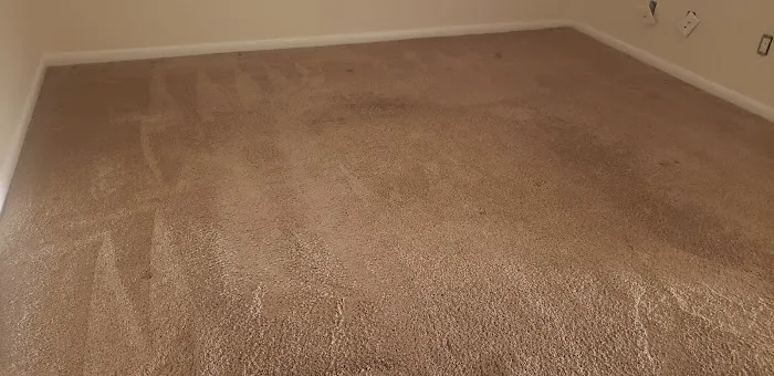 Carpet Express Cleaning Inc. Picture 8