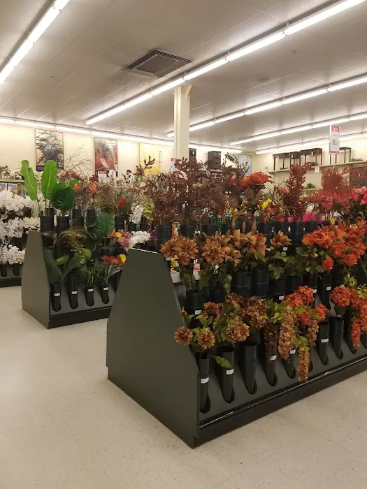 Hobby Lobby Picture 6