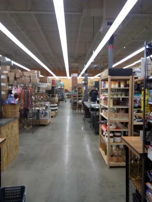 World Market Picture 9