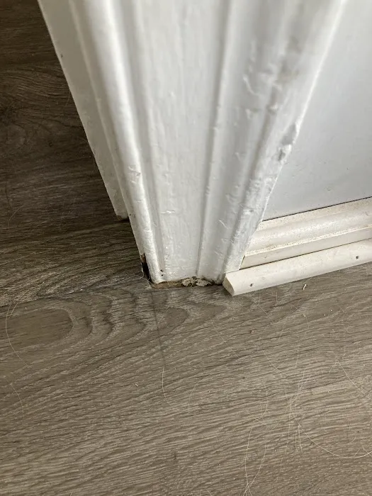 Floor Coverings International Mainline Picture 5