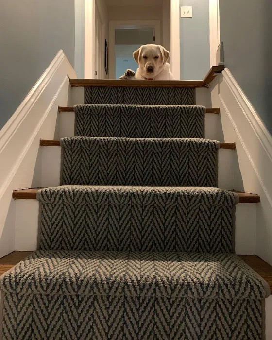 Floor Coverings International Mainline Picture 2