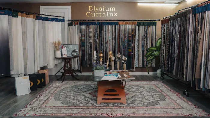 Elysium Curtains Picture 3