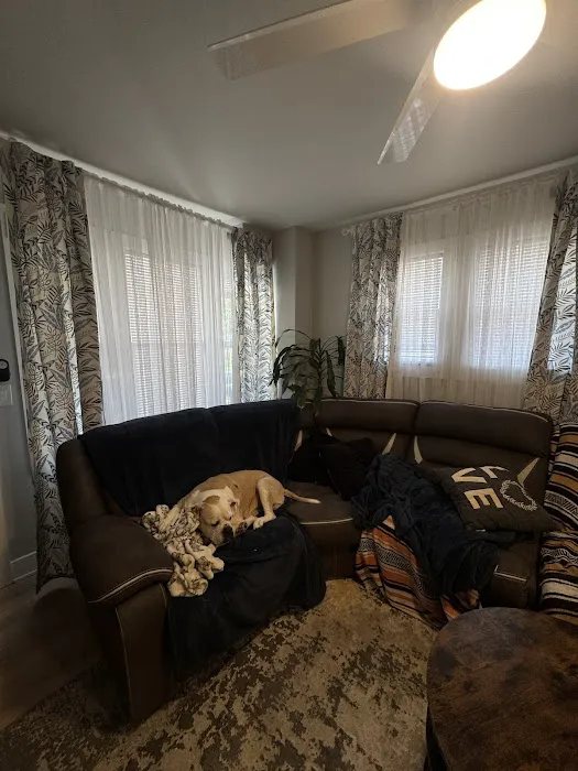 Elysium Curtains Picture 8