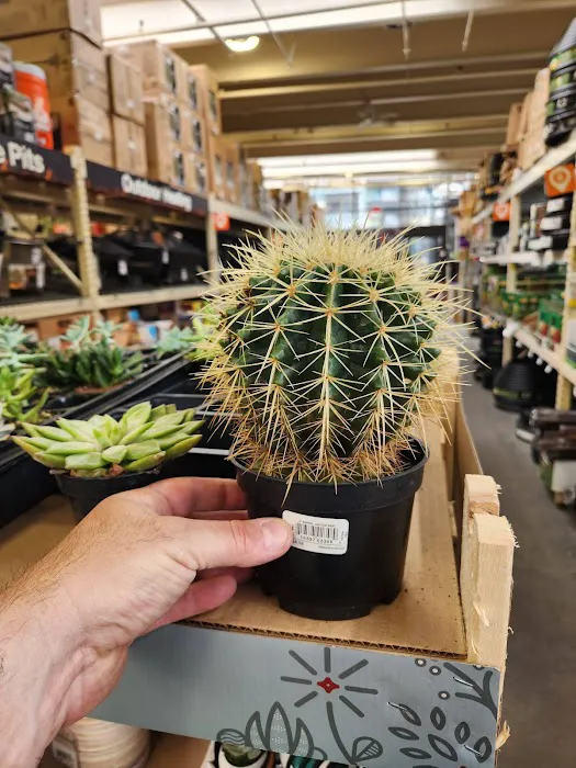 The Home Depot Picture 10