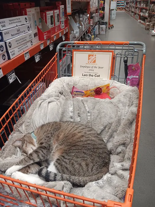 The Home Depot Picture 3