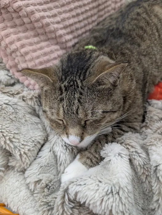 The Home Depot Picture 8