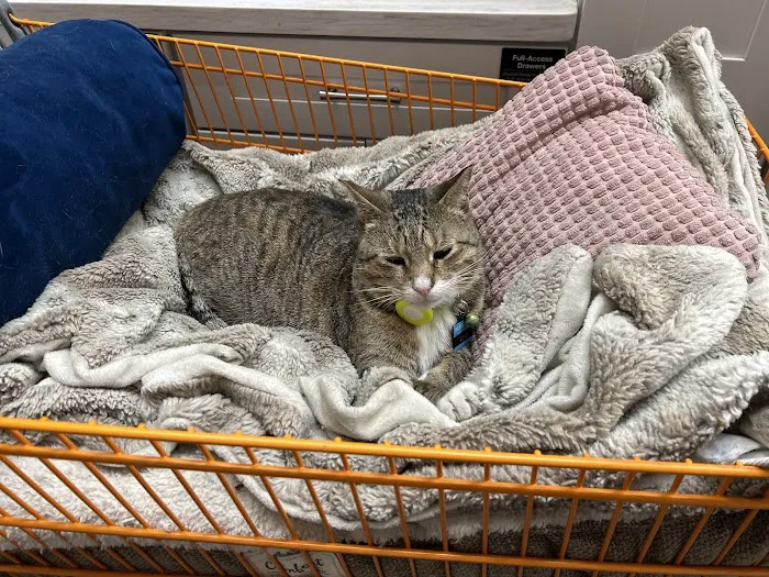 The Home Depot Picture 1