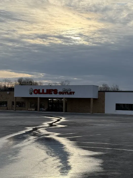 Ollie's Bargain Outlet Picture 2