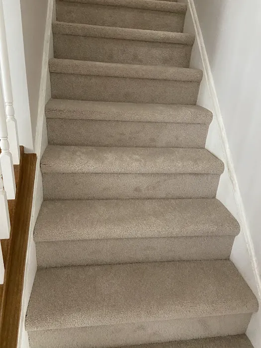 Mangigian Brothers Carpet Picture 2