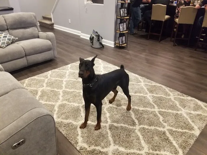 Simple Charm Flooring Picture 3