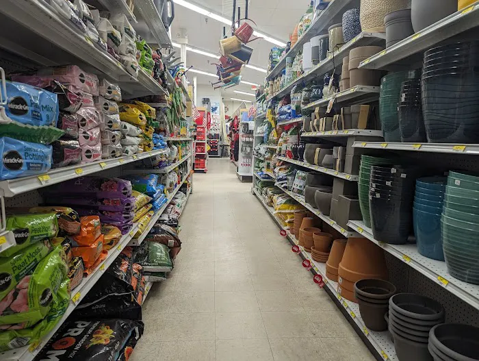 Egg Harbor Township Ace Picture 10