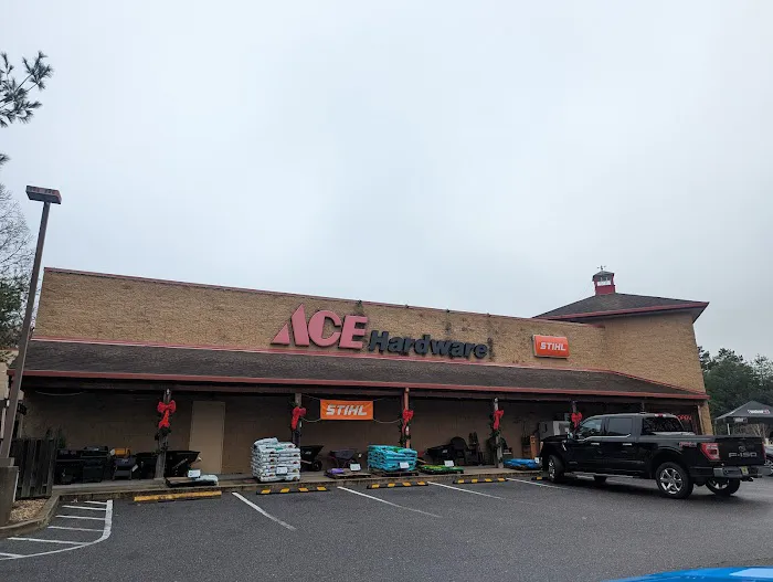 Egg Harbor Township Ace Picture 1