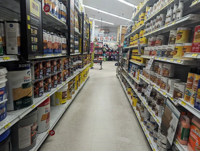 Egg Harbor Township Ace Picture 8