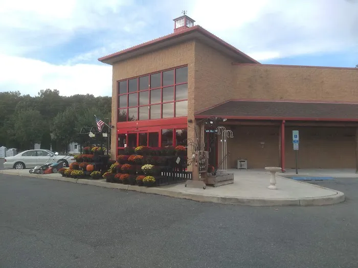 Egg Harbor Township Ace Picture 5