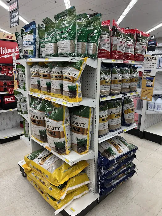 Egg Harbor Township Ace Picture 3