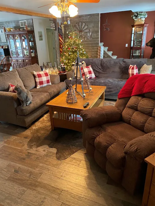 Floor Coverings International NEPA Picture 6