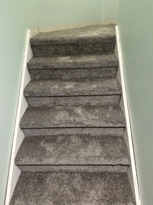 American Carpet Picture 3