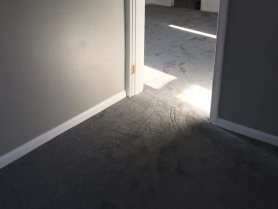 American Carpet Picture 2