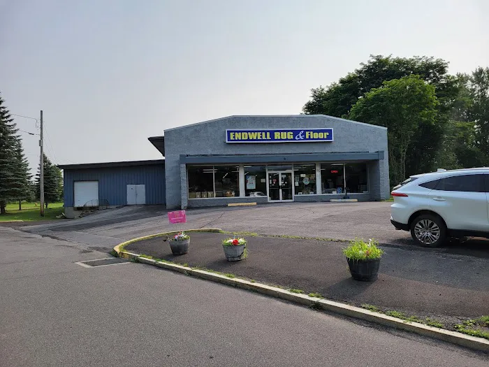 Endwell Rug & Floor Picture 3