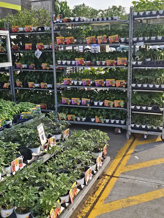 The Home Depot Picture 9