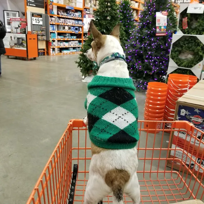 The Home Depot Picture 8
