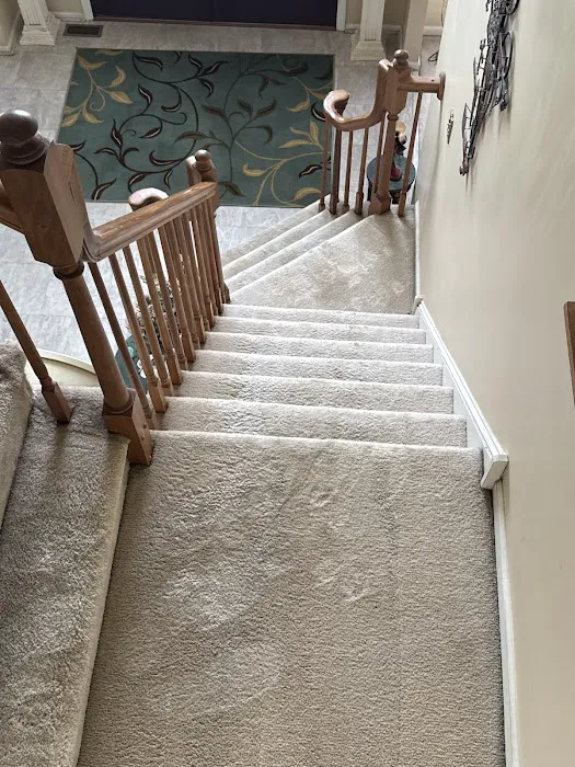 Thomas Carpet & Oriental Rug Cleaners Picture 9