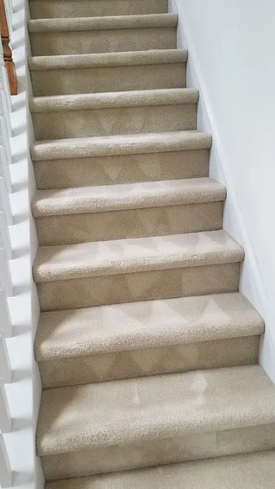 Central Carpet Care Picture 8