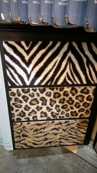 Central Carpet Care Picture 1