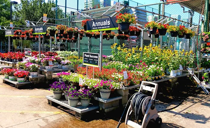 The Home Depot Picture 9