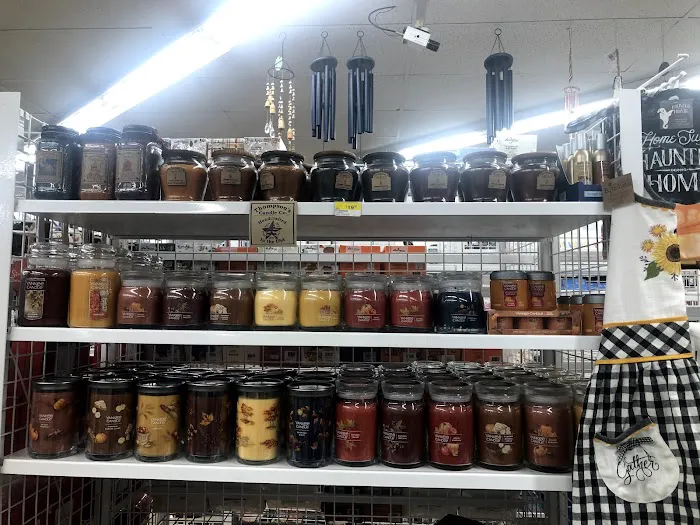 Seashore Ace Picture 2